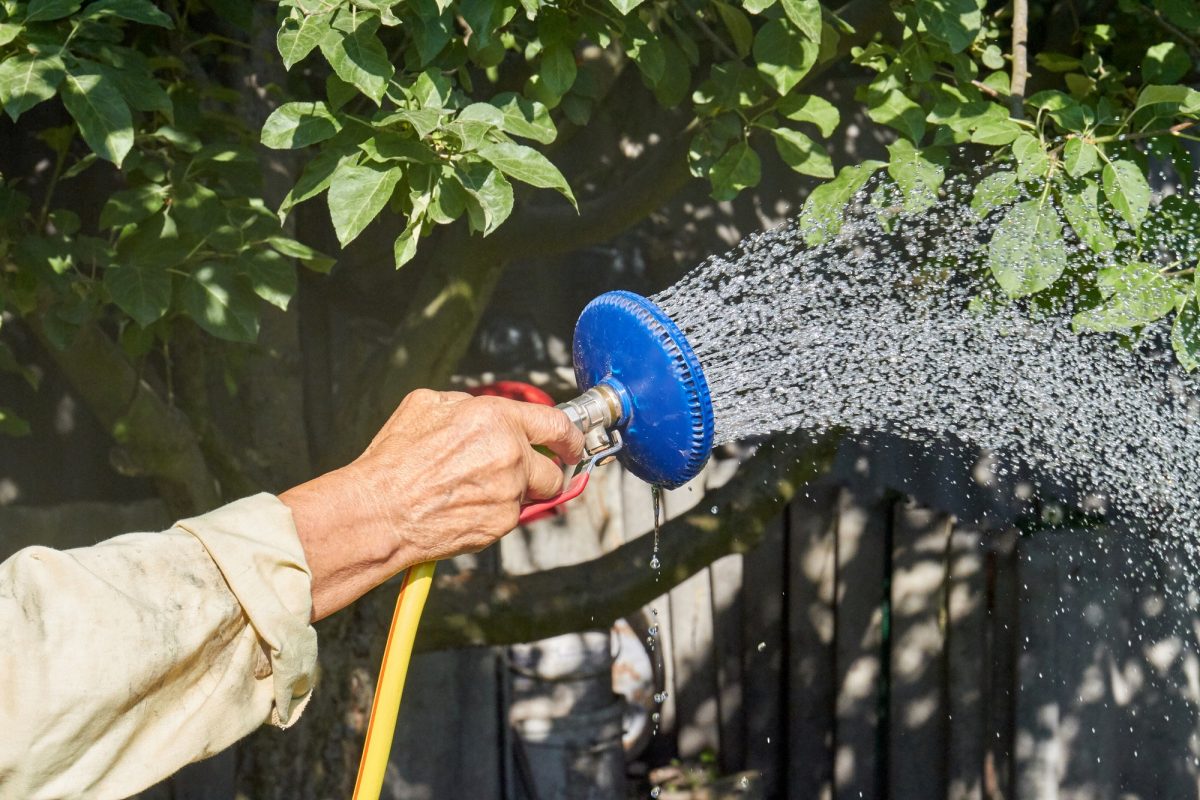 Close-up hand with sprinkler watering garden plants.