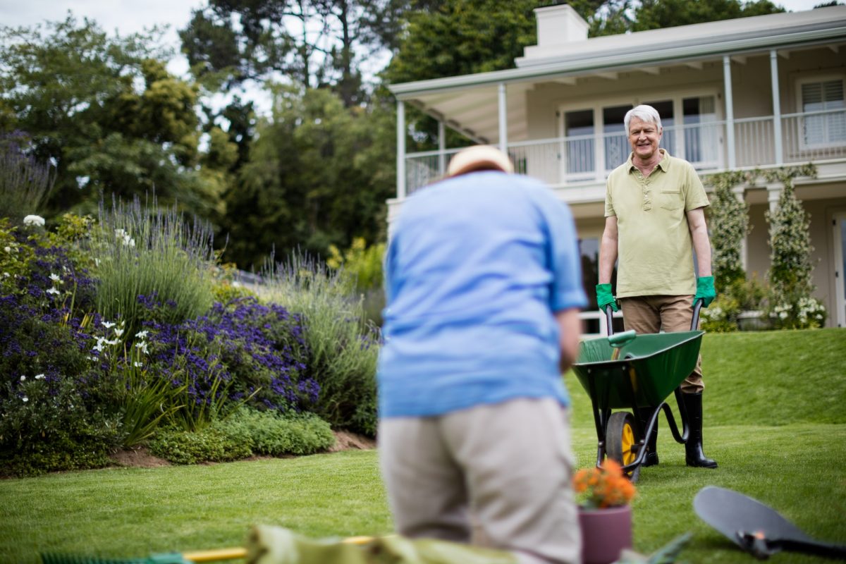 Senior couple gardening plant